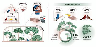 Rehabilitation and release of confiscated <mark class="highlighted">songbirds</mark> into the wild: A pilot study